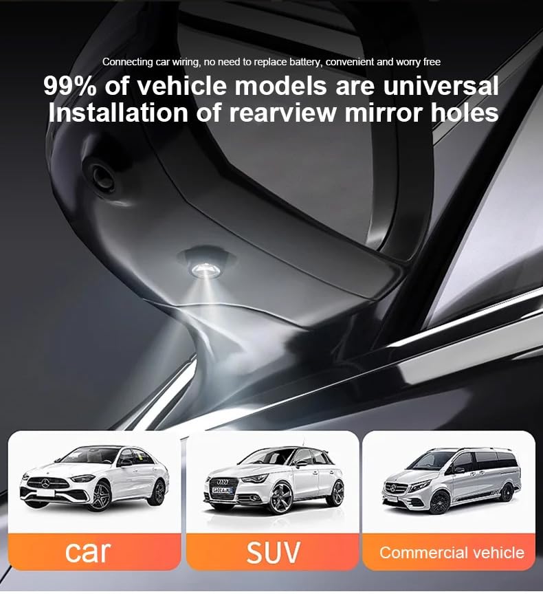 Car wing lights